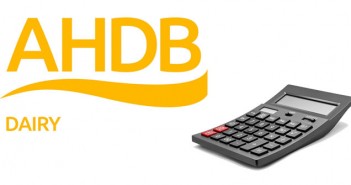 Calculate the cost of rearing heifers ahdb-dairy