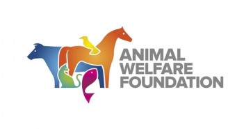 Research grant for Lesley Stubbings foundation