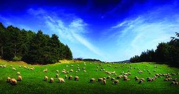 Spring into parasite control strategies p90 world1