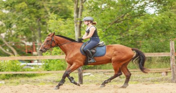BETA launches 2018 Safety Week Woman jockey training riding horse. Sport activity