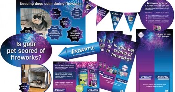 Ceva launches new fireworks marketing and display pack Ceva - Fireworks marketing pack