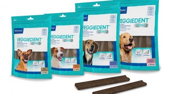 Triple action technology to target bad breath VeggieDent FR3SH Group