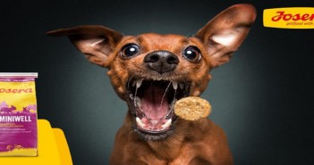 Passionate About Pet Food to launch Josera and Green Petfood at PATS Josera dog food