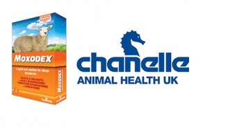 Chanelle unveils new oral solution for sheep Chanelle - Moxodex