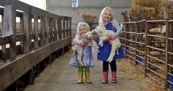 Lambing Weekend 2019 sees visitor numbers double Lambing Weekend 2019