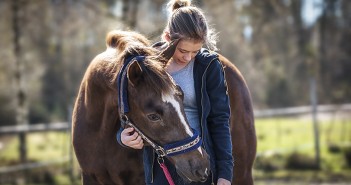 Equine grass sickness vaccine trial proves inconclusive Girl with horse