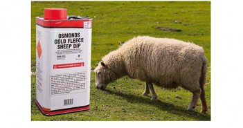 Bimeda encourages farmers to consider plunge dipping Bimeda – Osmonds Gold Fleece Sheep Dip