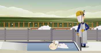 Bimeda launches tool to promote correct sheep dipping technique 03