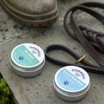 Chill out with Dorwest Dorwest Herbs balm