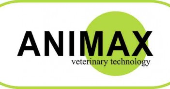 Animax appoints new commercial director Animax logo_CMYK