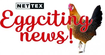Nettex backyard poultry product range now exclusively available from Trilanco Nettex – Eggciting News
