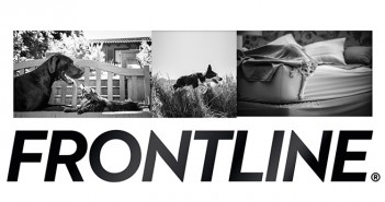 SQPs – we need your questions for Frontline online Q&A session Frontline collage