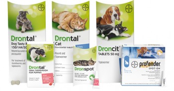 Vetoquinol acquires Profender and Drontal wormers Vetoquinol range