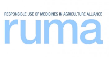 New medicine initiative for pets and horses draws on farm livestock learnings RUMA logo 702x336