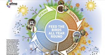 Can all wild birds eat the same foods? PFMA – Bird feeding infographic