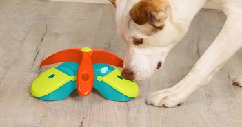 New brain games from Pet Brands TwistFlip from iQuties