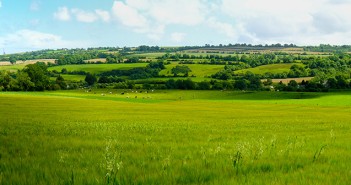Wynnstay appoints environmental and sustainability manager Scenic panoramic view of rolling countryside green farm fields w