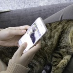 Cats Protection celebrates first anniversary of lockdown adoptions