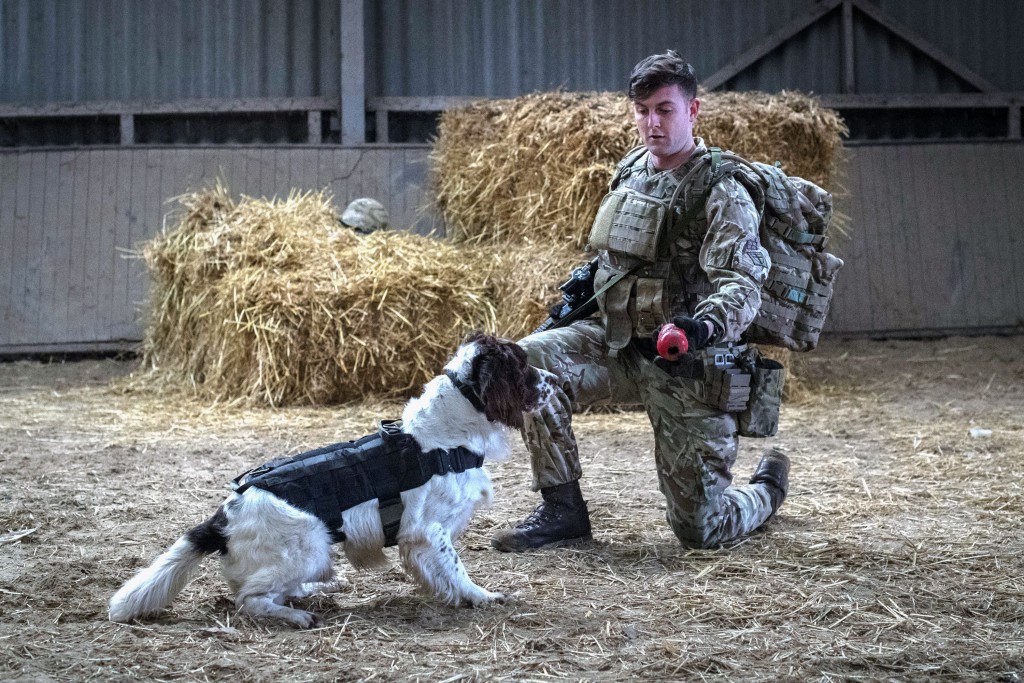 Hero dogs are true friends for life