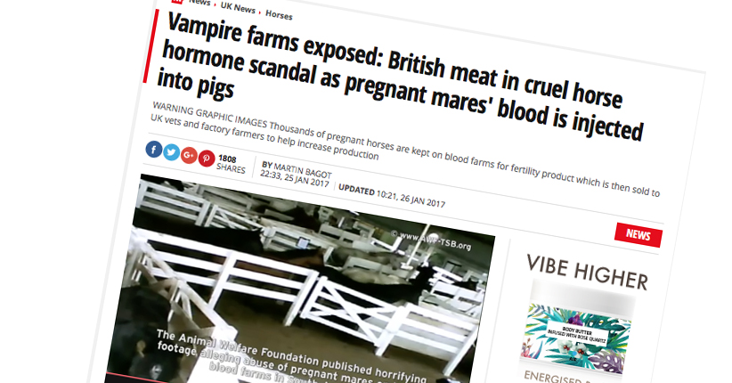 NPA refutes horse ‘hormone torture’ claim