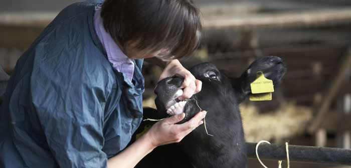 Welfare awards shortlist announced