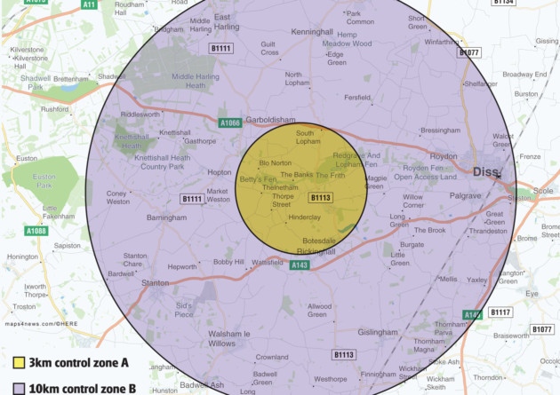 Avian flu in East Anglia