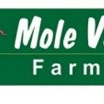 Mole Valley Farmers increases revenue mole-valley-farmers