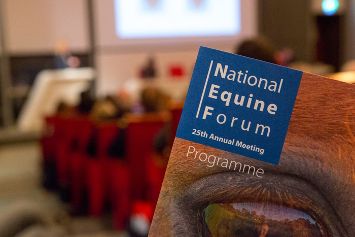 Equine industry should ‘recognise change as opportunity’