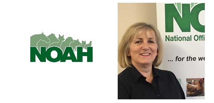 UK and Irish national animal health associations meet to help ensure continued medicines availability | OvertheCounter UK and Irish national animal health associations meet to help ensure continued medicines availability | OvertheCounter