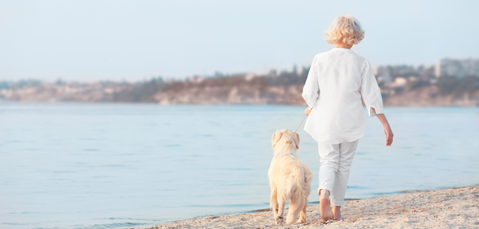 Study suggests older people should be given dogs on prescription to boost activity