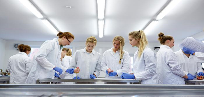 Harper Adams and Keele in talks to establish joint veterinary school