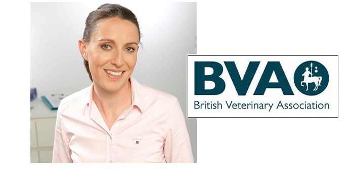 Veterinary professions come together to lobby government over Article 13