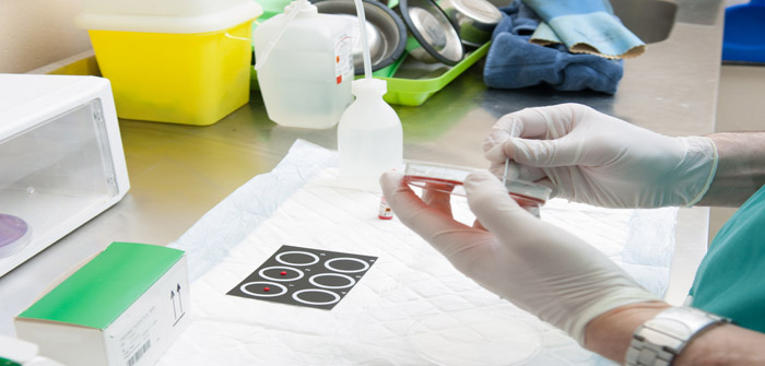 EU-backed veterinary hub to offer “innumerable benefits”