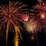 RSPCA received 10,000 reports of firework incidents Fireworks