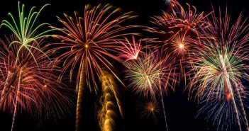 Pet anxiety on Bonfire Night Fireworks