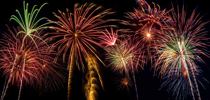 Vets sign open letter urging UK Government to review fireworks laws