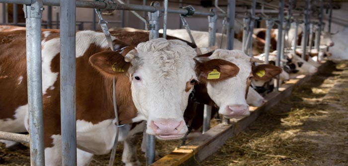 NFU says farmers should get more value out of data they collect