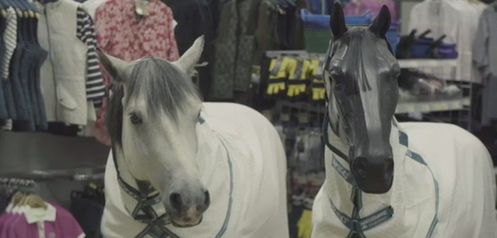 Emma Massingale film wins award for movie shot in Mole Valley Farmers store