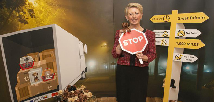 MPs unite with Dogs Trust in the fight against puppy smuggling