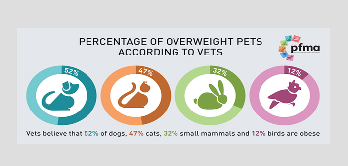 PFMA survey of vets shows a rise in dog and cat obesity