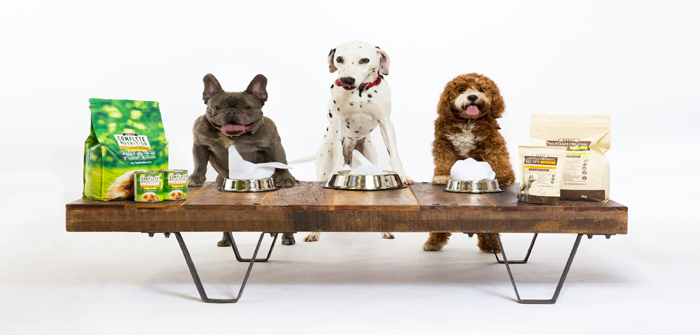 Sainsbury’s to target £430 million healthy and hypoallergenic pet food market