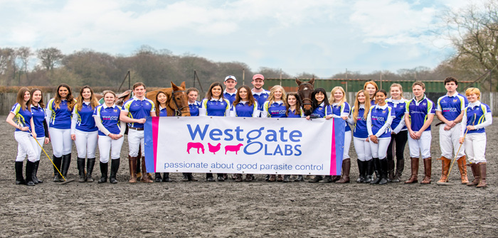Westgate Labs to sponsor the Royal Veterinary College Polo Team