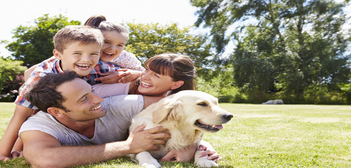Research highlights the special kind of bond between owners and pets
