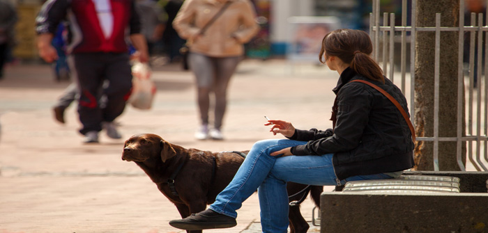 Smoking around your pet could kill them, warns PDSA