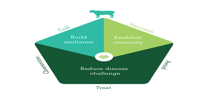 Join the march towards stamping out lameness