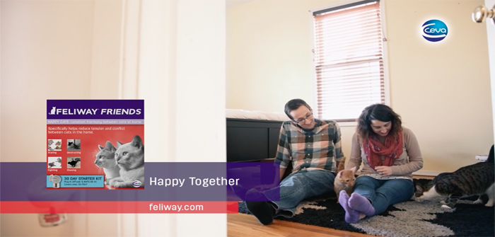 Ceva launches national TV advertising campaign
