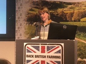 Minette Batters