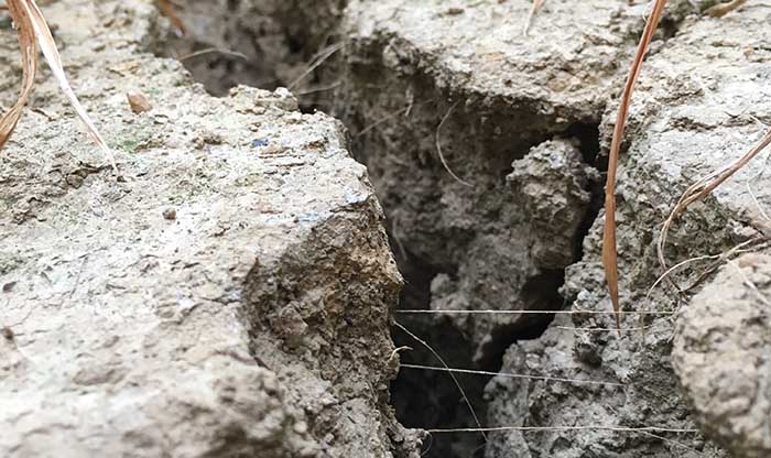 Impact of summer heatwave to be felt “for months to come”