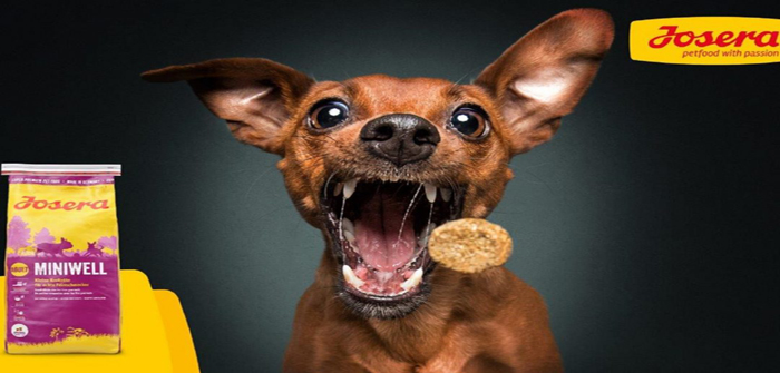 Green petfood best sale josera