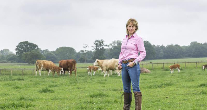 No-deal ‘catastrophic’ for British farming